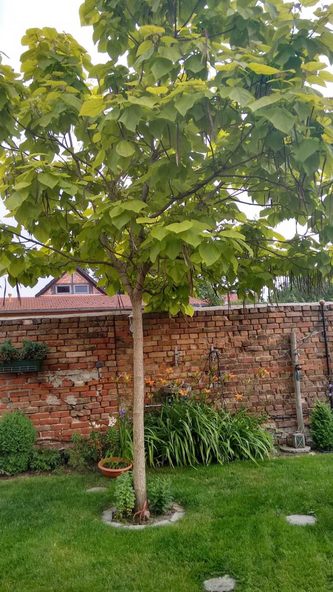 Ferienwohnungen Haus Leonore ชเตนดัล ภายนอก รูปภาพ