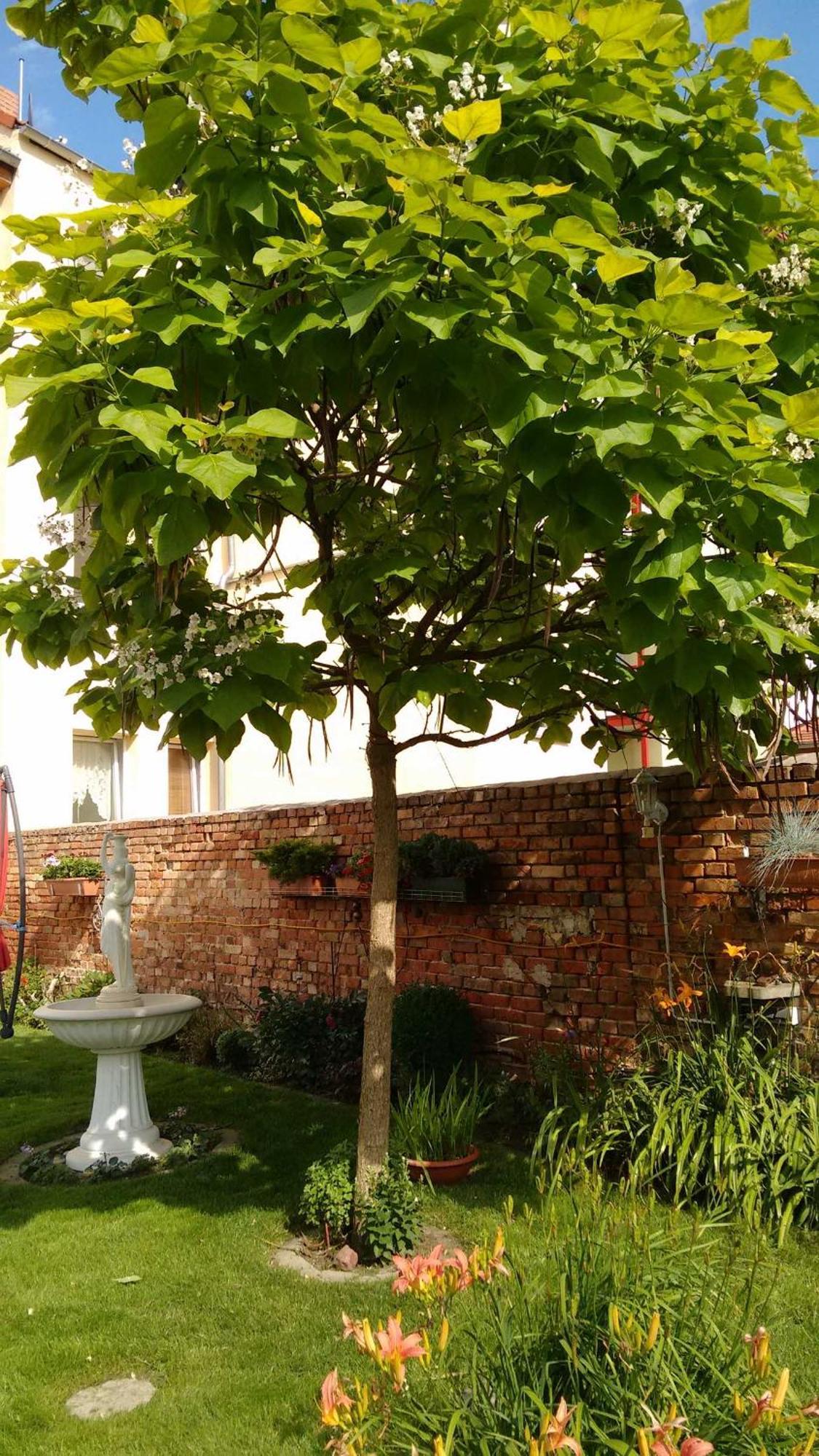 Ferienwohnungen Haus Leonore ชเตนดัล ภายนอก รูปภาพ